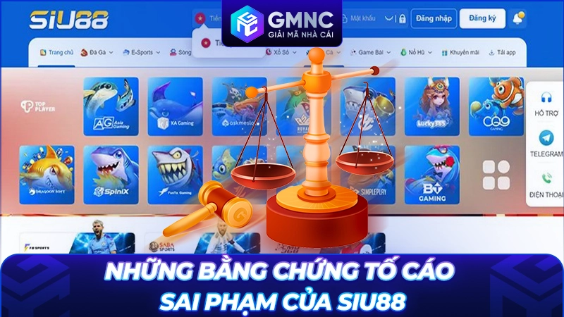 Những bằng chứng tố cáo sai phạm của SIU88